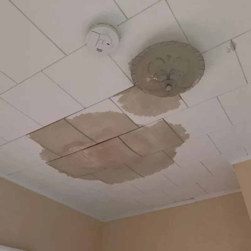 Ceiling Water Damage Repair in Florida, NY